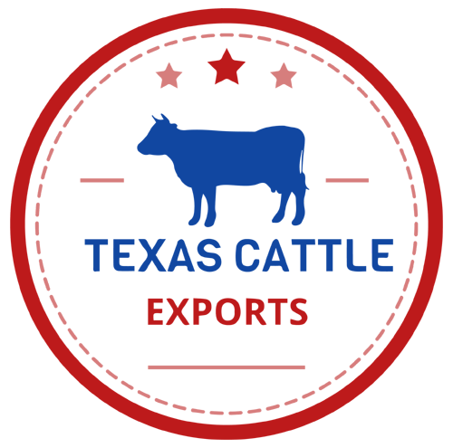 Texas Cattle Exports | Dairy Beef Cattle Exporter Brahman - Jersey - Holstein - Agnus
